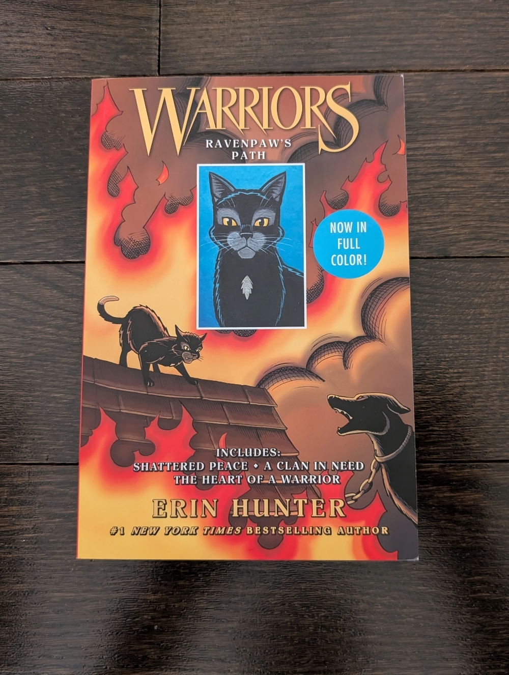 NEW Warriors (Warrior Cats), Ravenpaw's Path (3 in 1) Graphic Novel
